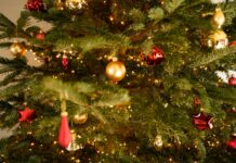 Sretan Božić želi Vam portal tvsensor.com