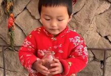 Sa samo osam godina, dječak iz Kine kuha kao profesionalac