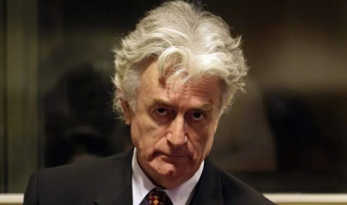 radovan-karadzic-810x480.jpg