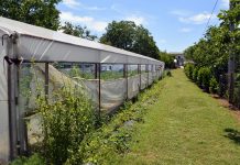 Otkupne cijene poljoprivrednih proizvoda stagniraju godinama