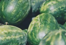 Rekordan urod lubenica u BiH: Cijene nikad niže, proizvođači ogorčeni