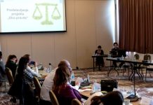 U BiH ne postoji razvijena sudska praksa kada su u pitanju predmeti onečišenja okoliša