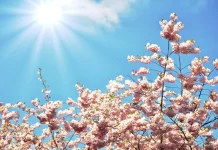 U BiH najavljeno sunčano vrijeme do 1. maja Vremenska prognoza