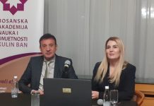 Greške i pravne mogućnosti Dejtonskog sporazuma