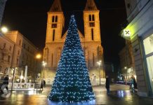 Predbožićni praznici i kićenje jelke: Paganska tradicija u modernom ruhu?